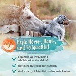 Ida Plus Mineral-Forte for Pets - 2kg Essentials