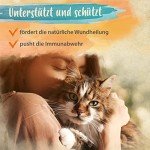 Ida Plus Mineral-Forte for Pets - 2kg Essentials