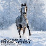 Stiefel Immune Herbal Liquid for Horses, 1L