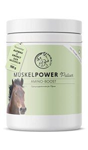 Muscle Support Powder for Horses with Soy Protein