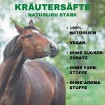 Stiefel Immune Herbal Liquid for Horses, 1L