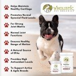 Dog Joint Supplement for Arthritis Pain Relief