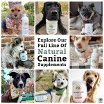 Dog Joint Supplement for Arthritis Pain Relief
