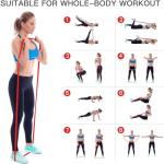 Pull-Up Assistance Resistance Bands for Workouts