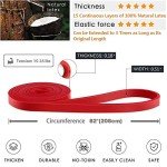 Pull-Up Assistance Resistance Bands for Workouts