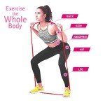Pull-Up Assistance Resistance Bands for Workouts