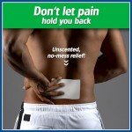 Salonpas Lidocaine Pain Relief Gel-Patch 6 Count