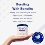 Joint Care Chews for Dogs - Mobility Support