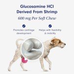 Joint Care Chews for Dogs - Mobility Support