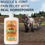 Veterinary Liniment for Muscle and Arthritis Relief