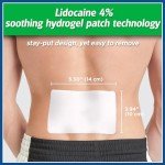Salonpas Lidocaine Pain Relief Gel-Patch 6 Count