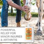 Veterinary Liniment for Muscle and Arthritis Relief