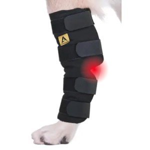 Dog Leg Braces for Arthritis & Injury Support