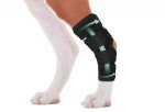 Lyderpet Dog Leg Brace for Hind Leg Support