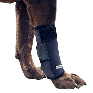 Labra Dog Compression Brace for Front Leg - Large