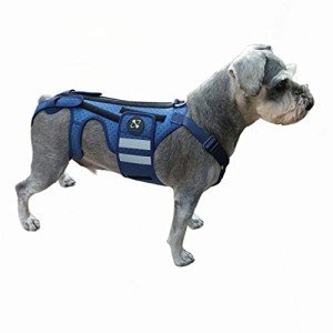 Coodeo Small Dog Back Brace for Arthritis Relief