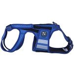 Coodeo Small Dog Back Brace for Arthritis Relief