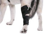 Dog Leg Braces for Arthritis & Injury Support