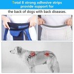 Coodeo Small Dog Back Brace for Arthritis Relief
