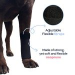 Labra Dog Compression Brace for Front Leg - Large