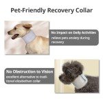 Adjustable Cat Neck Brace for Post-Surgery Recovery