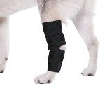 Dog Leg Braces for Arthritis & Injury Support