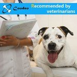 Coodeo Small Dog Back Brace for Arthritis Relief