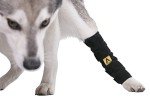 Dog Leg Braces for Arthritis & Injury Support
