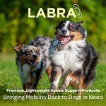 Labra Dog Compression Brace for Front Leg - Large