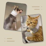 Adjustable Cat Neck Brace for Post-Surgery Recovery