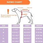 Coodeo Small Dog Back Brace for Arthritis Relief