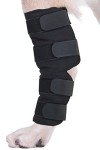 Dog Leg Braces for Arthritis & Injury Support