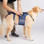 Coodeo Small Dog Back Brace for Arthritis Relief
