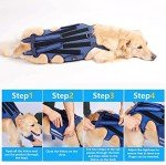 Coodeo Small Dog Back Brace for Arthritis Relief