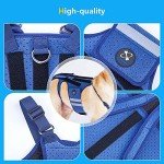 Coodeo Small Dog Back Brace for Arthritis Relief