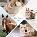Red Laser Therapy Device for Dog Arthritis Relief