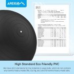 APEXUP Anti-Slip Yoga and Pilates Exercise Ball