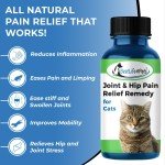 Natural Joint & Arthritis Pain Relief Remedy