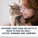 Natural Joint & Arthritis Pain Relief Remedy