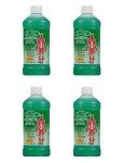 Dr. Fred Summit Wintergreen Arthritis Rubbing Alcohol 4-Pack