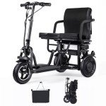 Electric Folding Trike with Dual Motor for Mobility