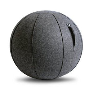 Vivora Luno Ergonomic Sitting Ball Chair