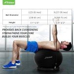 Trideer Yoga Ball Chair for Back Pain Relief