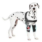 Dog Elbow Protector for Elbow Dysplasia Relief