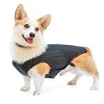 Dog Back Support Vest for IVDD Relief