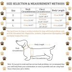 Dog Back Support Vest for IVDD Relief