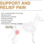 LISPOO Dual Knee Brace for Dog Joint Pain