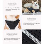 Dog Back Support Vest for IVDD Relief