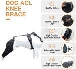 LISPOO Dual Knee Brace for Dog Joint Pain