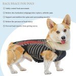 Dog Back Support Vest for IVDD Relief